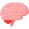 Palliative Brain